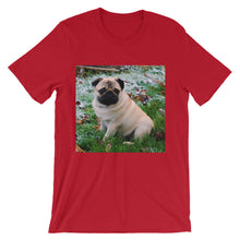 Pug t-shirt