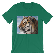 Tiger t-shirt
