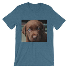 Puppy t-shirt