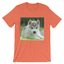 Puppy t-shirt