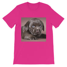 Puppy t-shirt