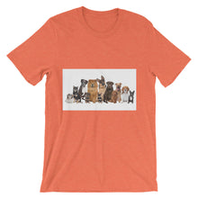 Dog Family Reunion t-shirt
