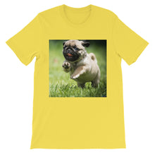Pug t-shirt