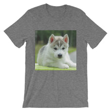 Puppy t-shirt