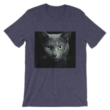 Cat t-shirt