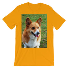 Corgi t-shirt