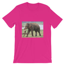 Endangered Species t-shirt