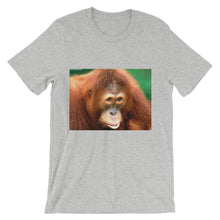 Endangered Species t-shirt
