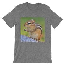 Chipmunk t-shirt