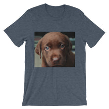 Puppy t-shirt
