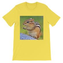 Chipmunk t-shirt