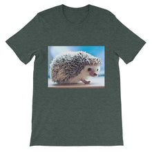 Hedgehog t-shirt