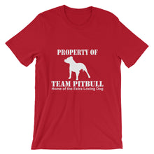 Property of Team Pitbull t-shirt