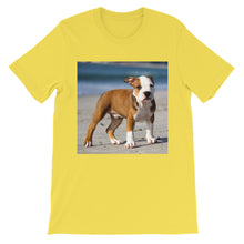 Dog t-shirt