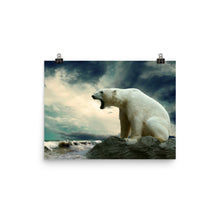 Polar Bear poster