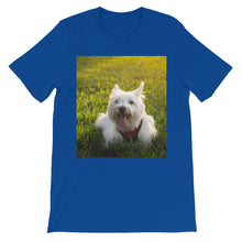Dog t-shirt
