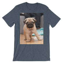 Pug t-shirt