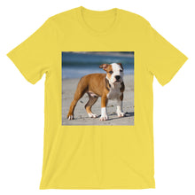 Dog t-shirt