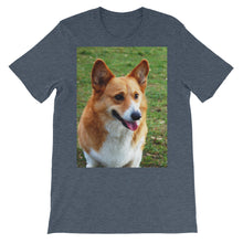 Corgi t-shirt