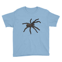 Spider Youth Short Sleeve T-Shirt