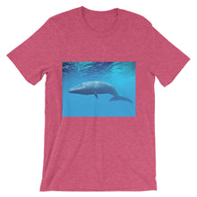 Endangered Species t-shirt