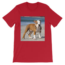 Dog t-shirt