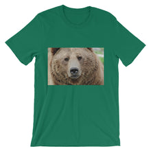 Bear t-shirt