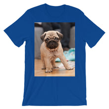 Pug t-shirt
