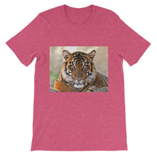 Tiger t-shirt