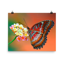 Butterfly poster