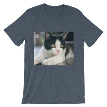 Kitten t-shirt