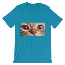 Cat t-shirt