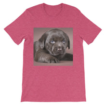 Puppy t-shirt