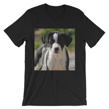 Dog t-shirt