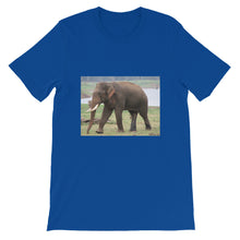 Endangered Species t-shirt