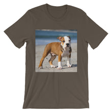 Dog t-shirt