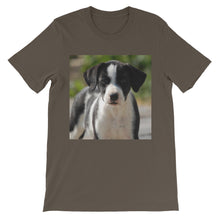 Dog t-shirt