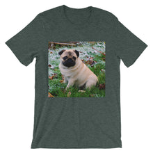 Pug t-shirt