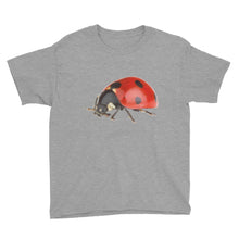 Ladybug Youth Short Sleeve T-Shirt