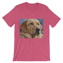 Dog t-shirt