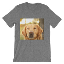 Dog t-shirt