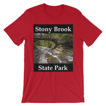 Stony Brook t-shirt