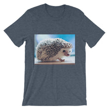 Hedgehog t-shirt