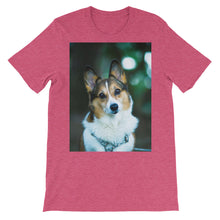 Corgi t-shirt