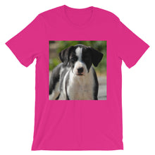 Dog t-shirt