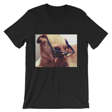 Dog with glasses t-shirt