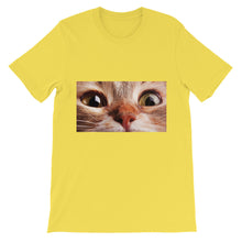 Cat t-shirt