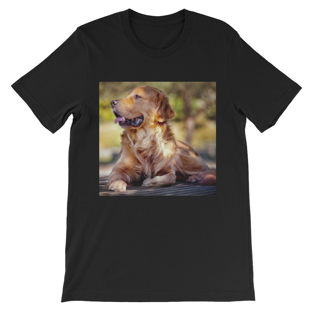 Dog t-shirt