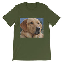 Dog t-shirt