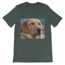 Dog t-shirt
